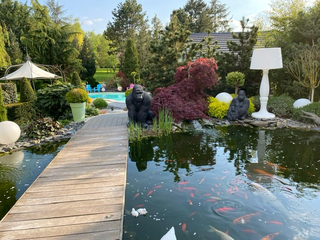 Photo Propriété  avec piscine image 2/6