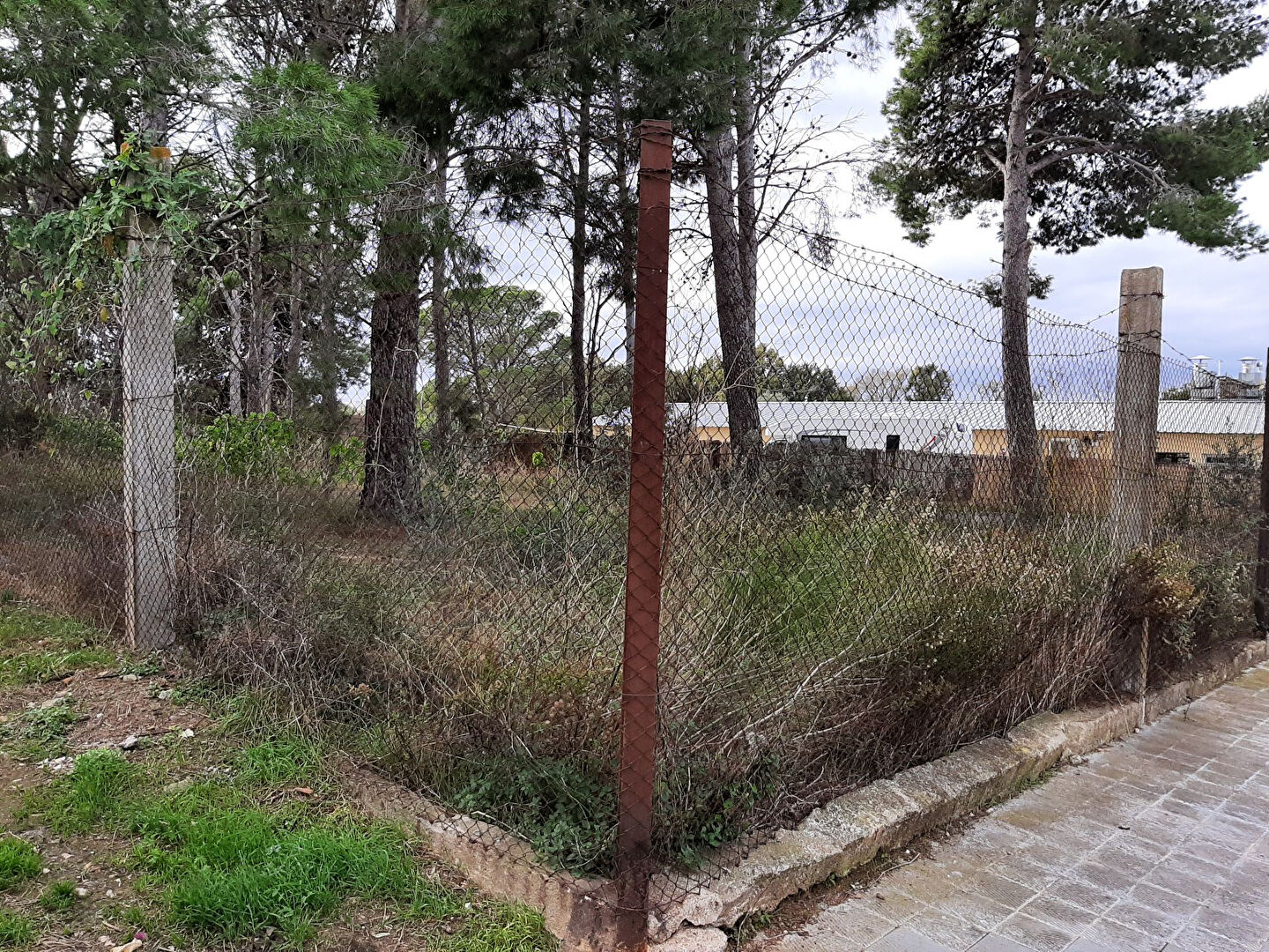 Terrain ensoleillé toute la journée à Mas Matas de 375m2