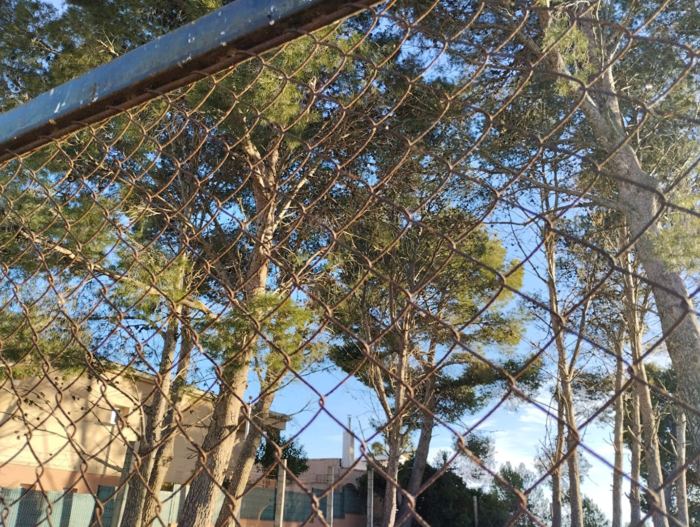 Photo Terrain ensoleillé toute la journée à Mas Matas de 375m2 image 4/6