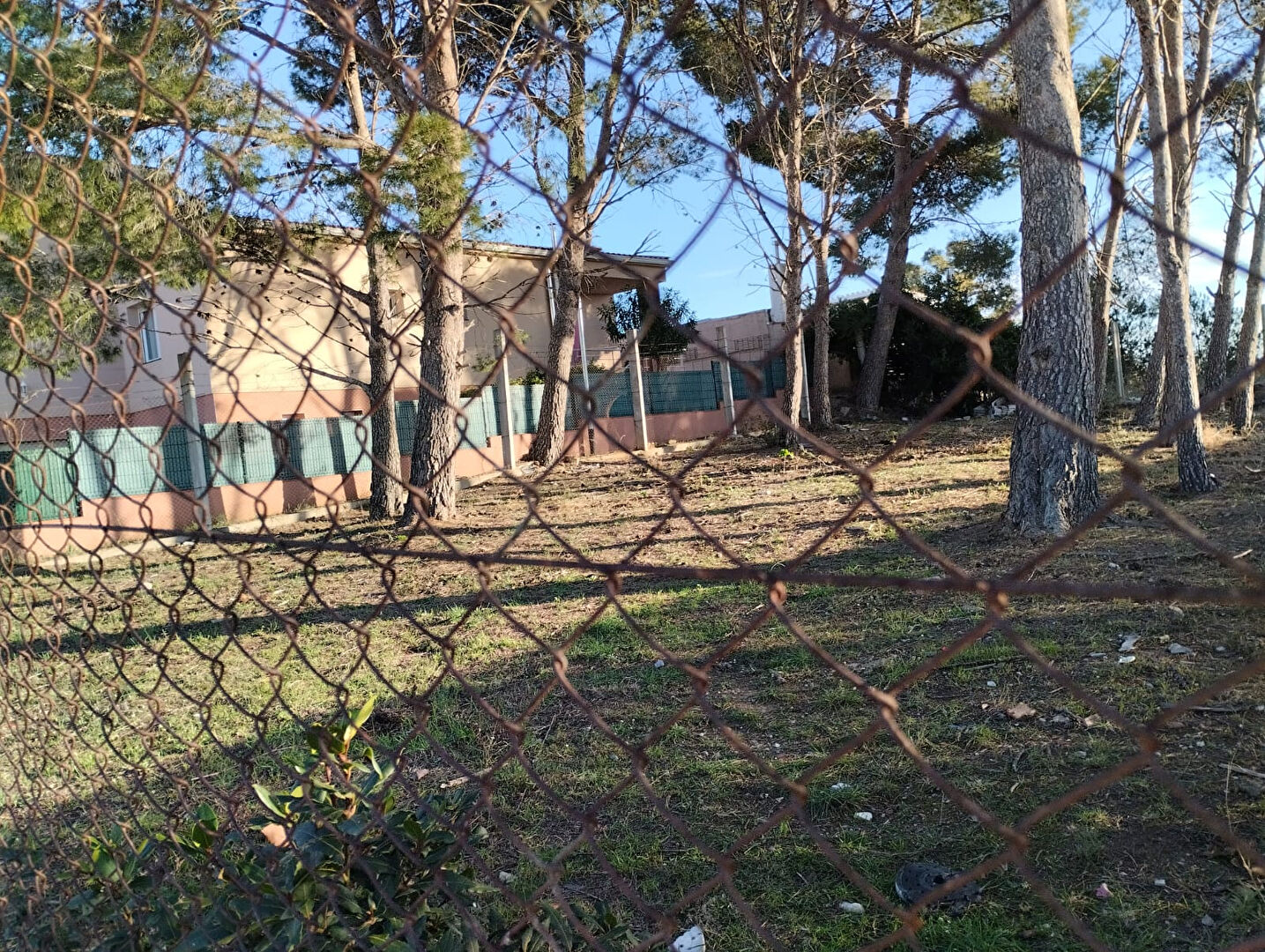 Photo Terrain ensoleillé toute la journée à Mas Matas de 375m2 image 6/6