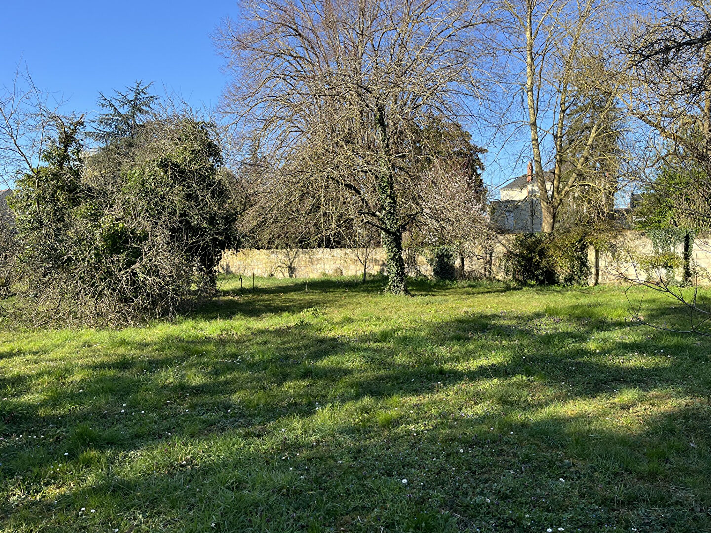 Photo Terrain constructible SAUMUR image 2/6