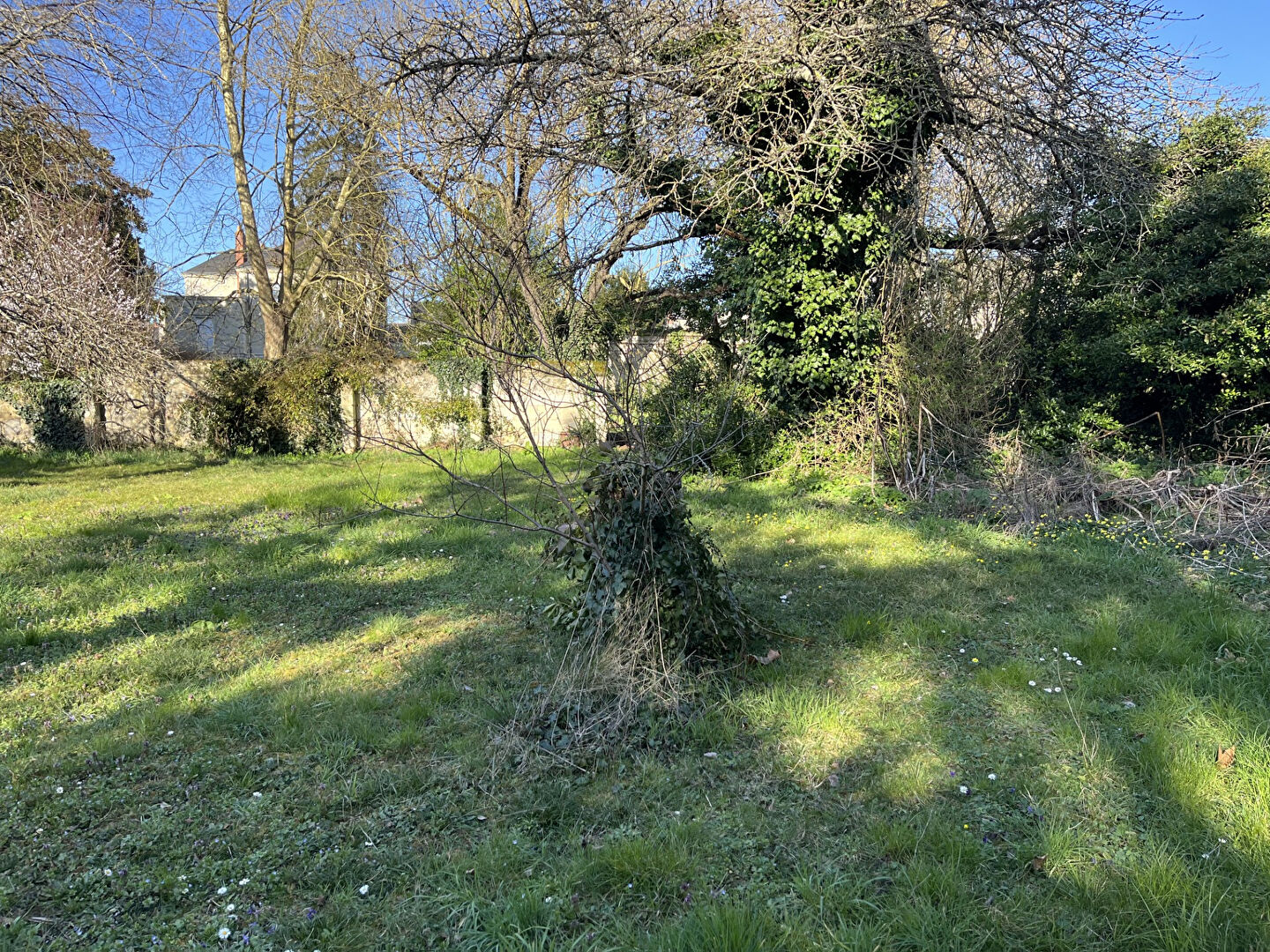 Photo Terrain constructible SAUMUR image 3/6