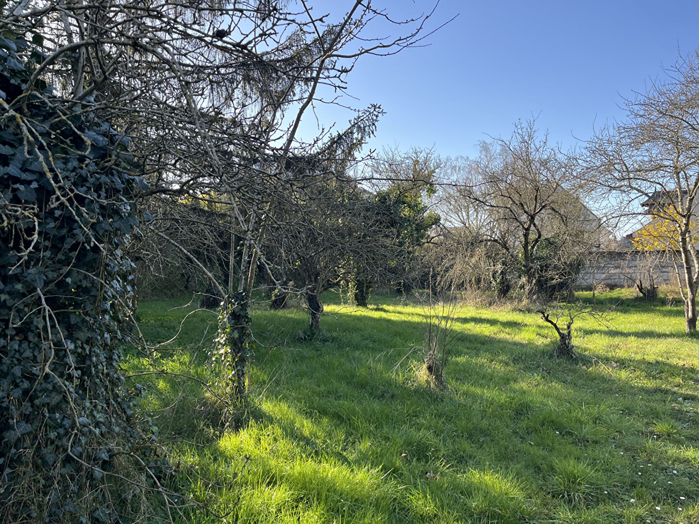 Photo Terrain constructible SAUMUR image 4/6