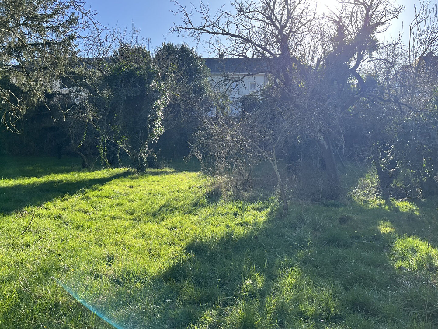 Photo Terrain constructible SAUMUR image 5/6