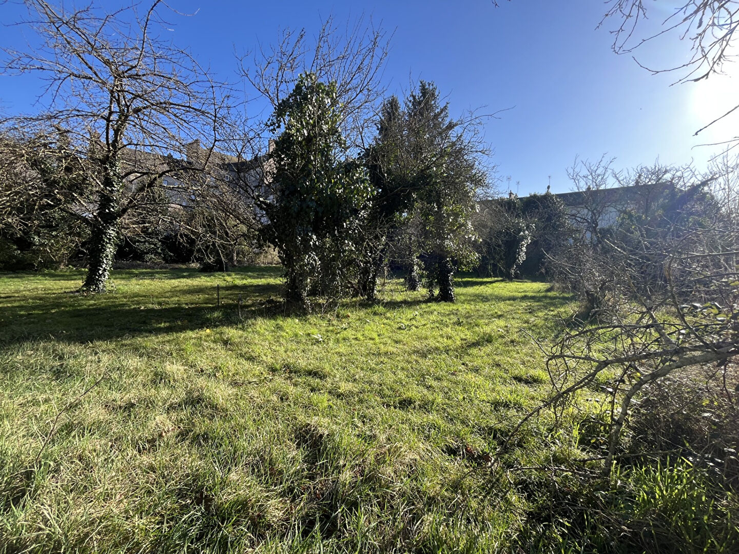 Photo Terrain constructible SAUMUR image 6/6