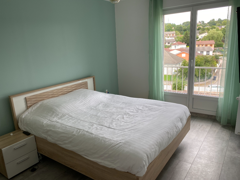 EN EXCLUSIVITE SUR LUNEVILLE,