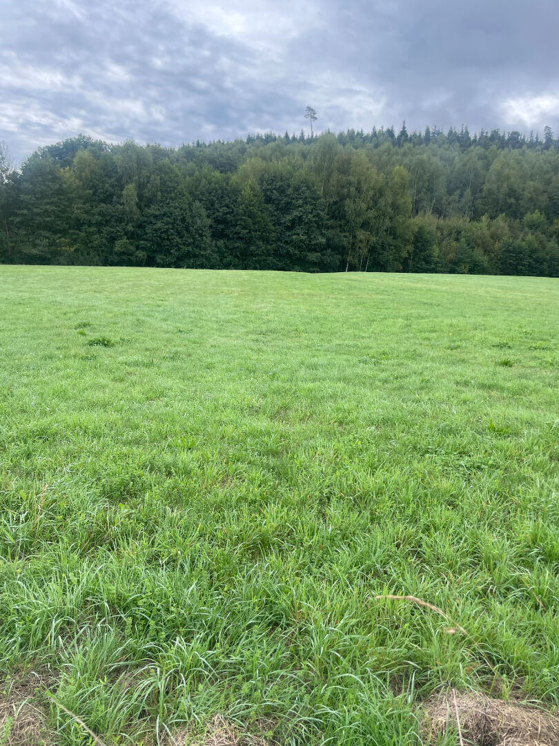 À vendre - Maison indépendante avec grand terrain à deux pas de BERTRICHAMPS