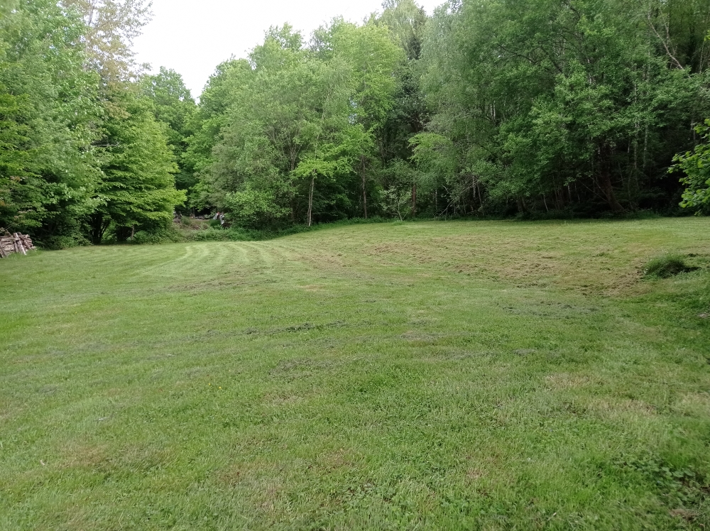 Photo EXCLUSIVITÉ - Rare ! Maison de plain-pied à Neufmaison - Panorama exceptionnel sur la nature (terrain4900m²) image 3/6