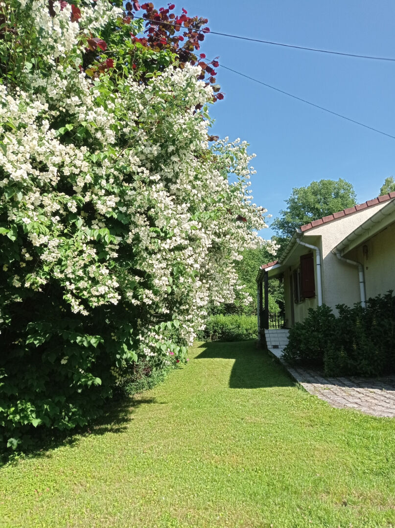 EXCLUSIVITÉ - Rare ! Maison de plain-pied à Neufmaison - Panorama exceptionnel sur la nature (terrain4900m²)