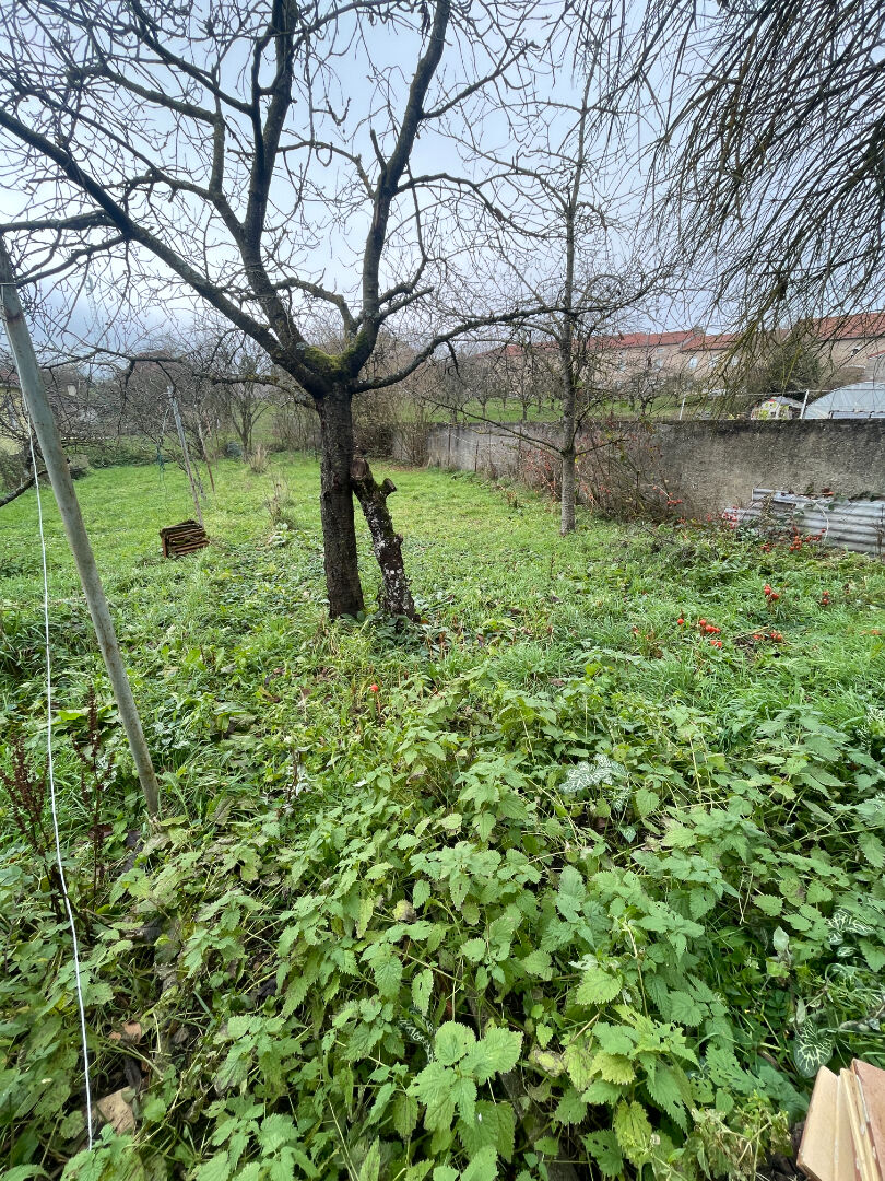 En exclusivité - À Maixe