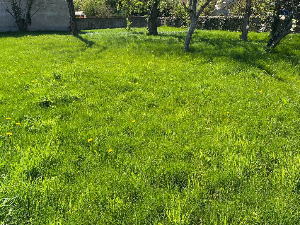 Agence immobilière de MENTOR - SIEGE - LOGIA - Baccarat