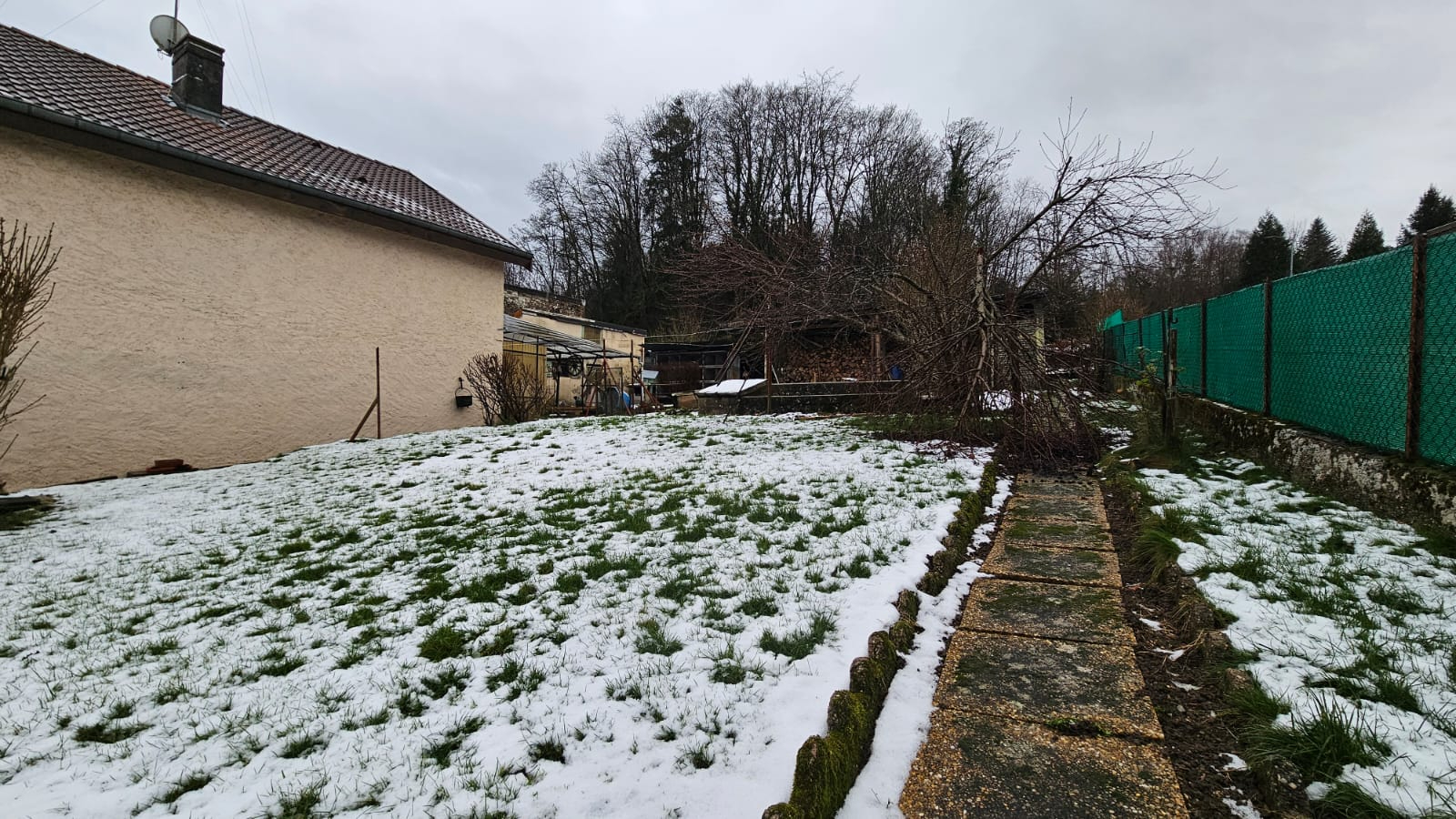 exclusivité LOGIA Baccarat