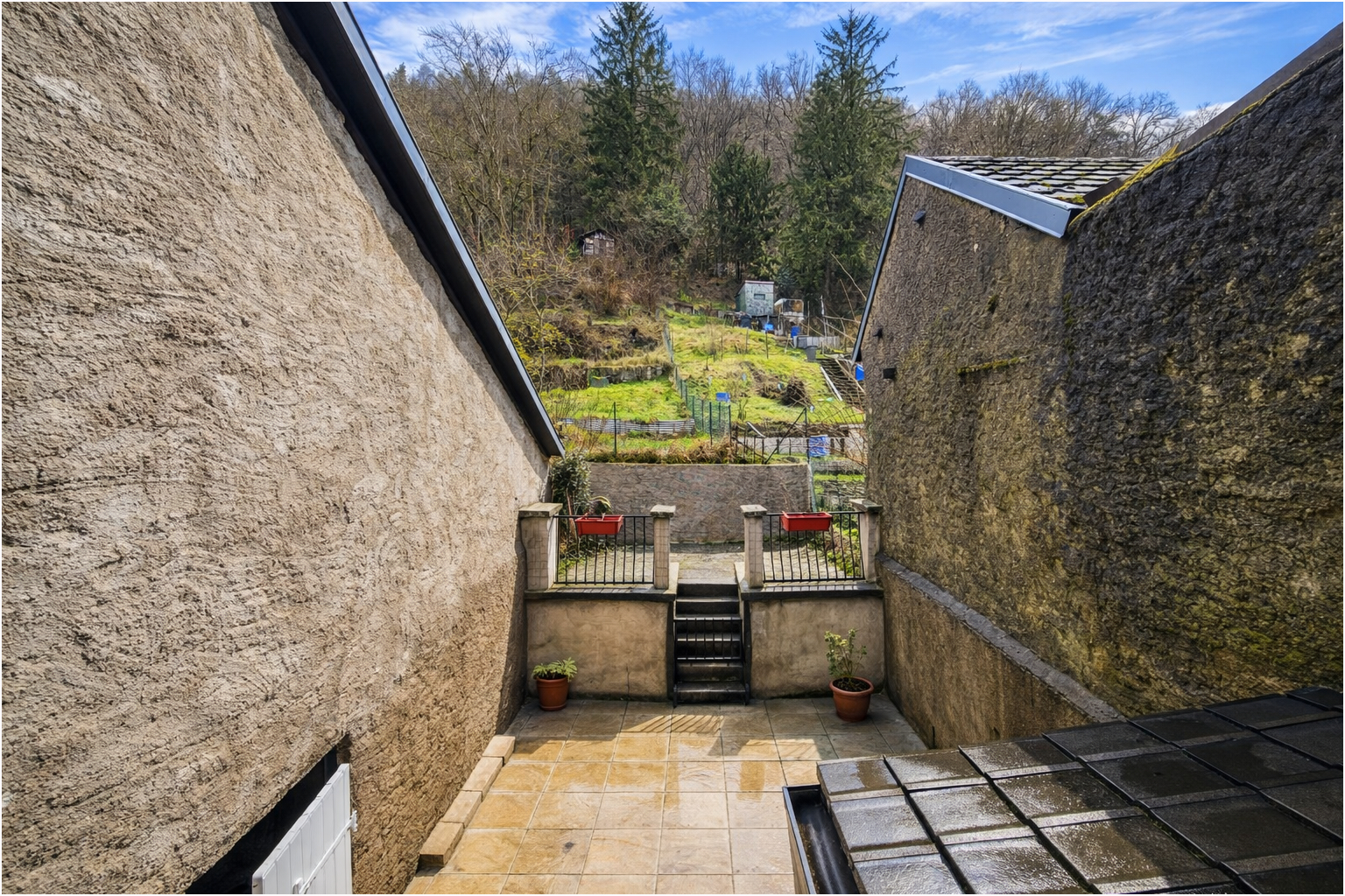 Exclusivité Logia Baccarat