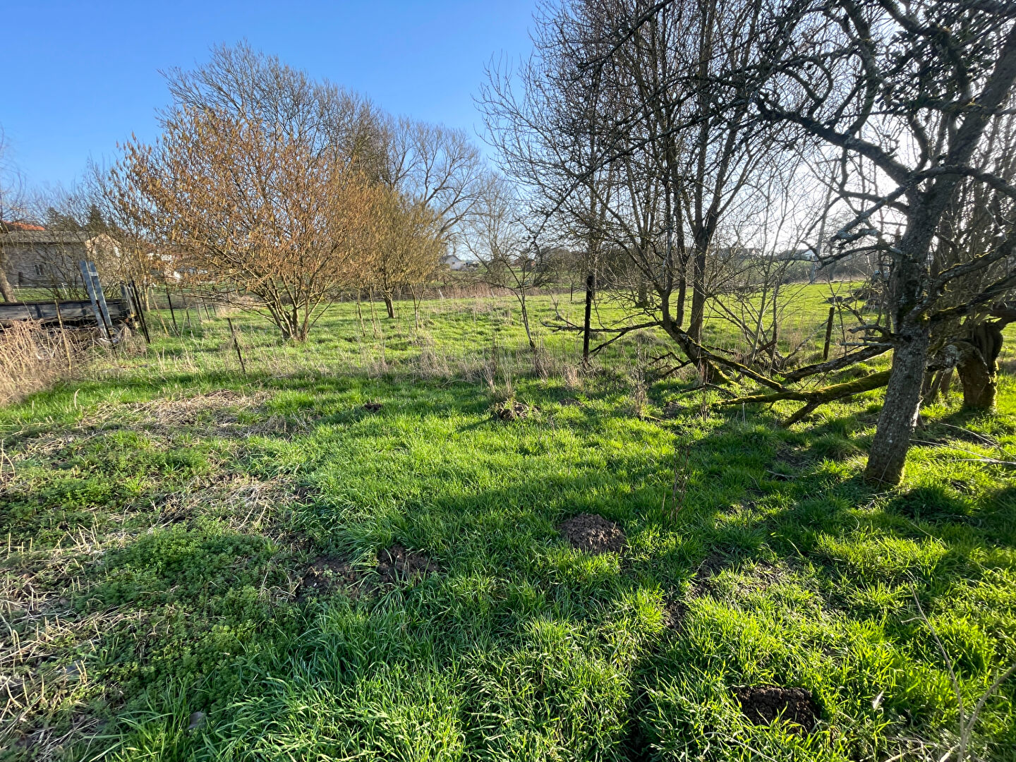 Exclusivité - Ancienne ferme lorraine à rénover avec dépendances et terrain