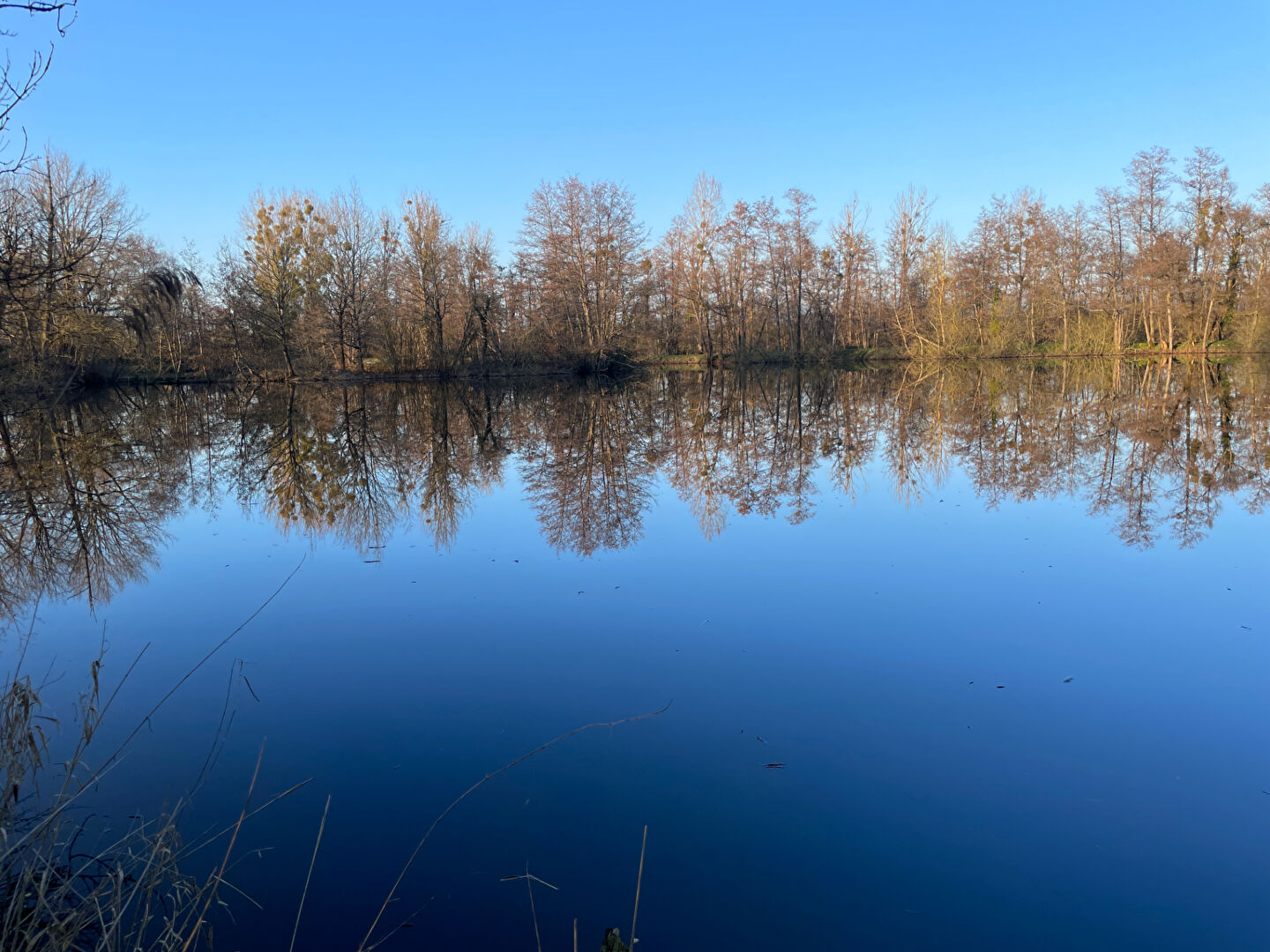 RARE À LA VENTE - PROPRIÉTÉ AVEC ÉTANG - SECTEUR MONCEL / LUNÉVILLE