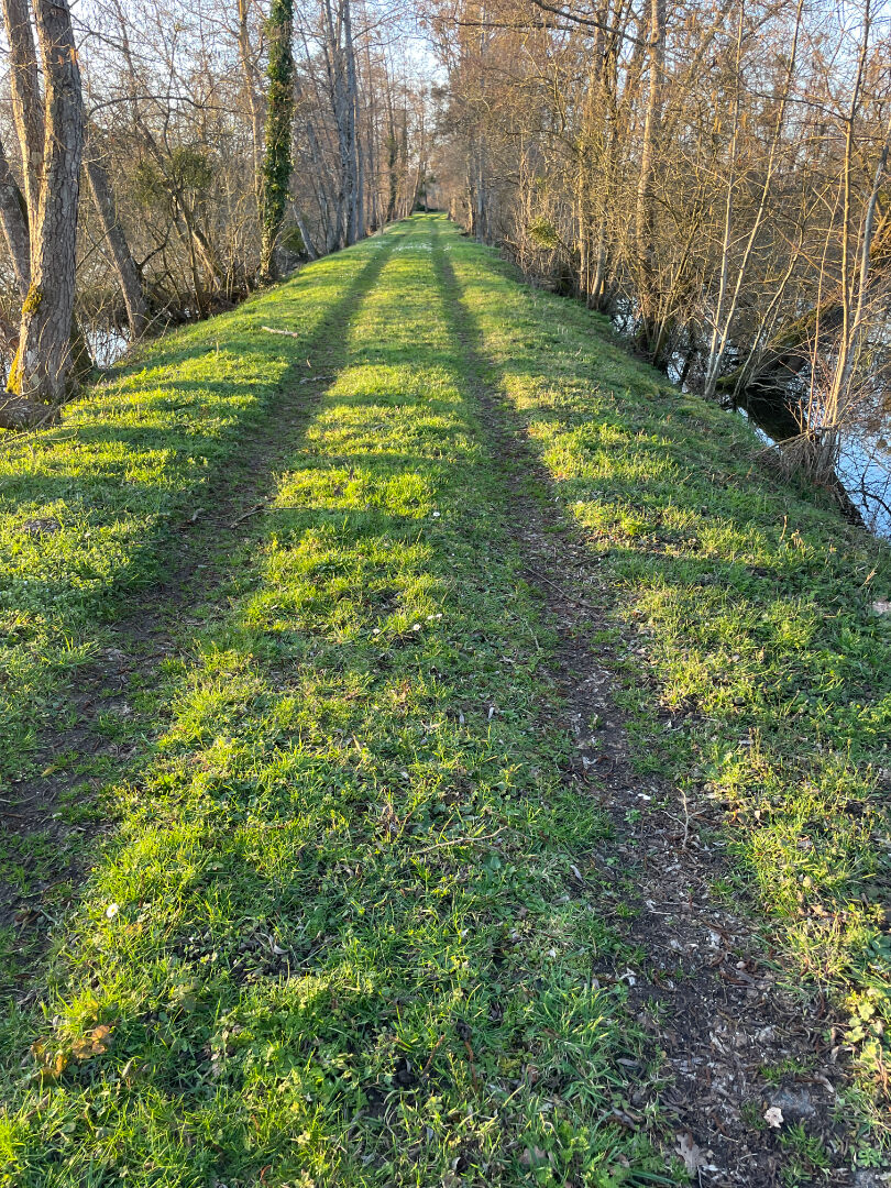 RARE À LA VENTE - PROPRIÉTÉ AVEC ÉTANG - SECTEUR MONCEL / LUNÉVILLE