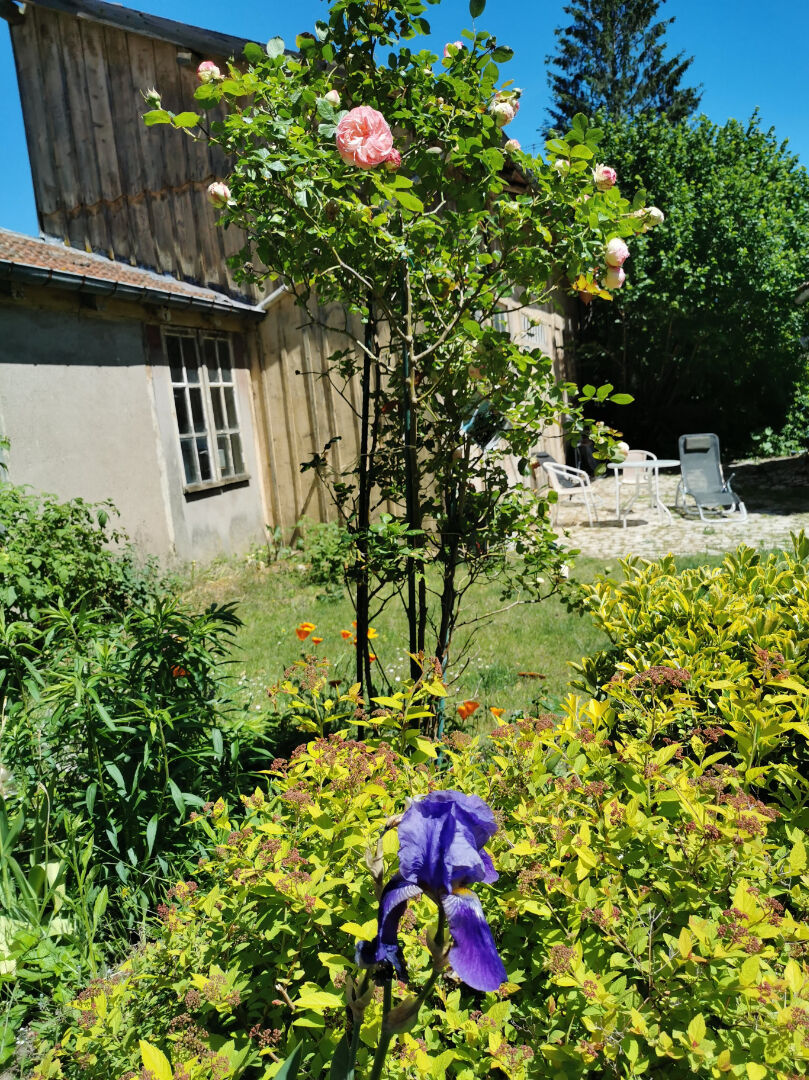 Appartement Luneville 5 pièce(s) 111.09 m2