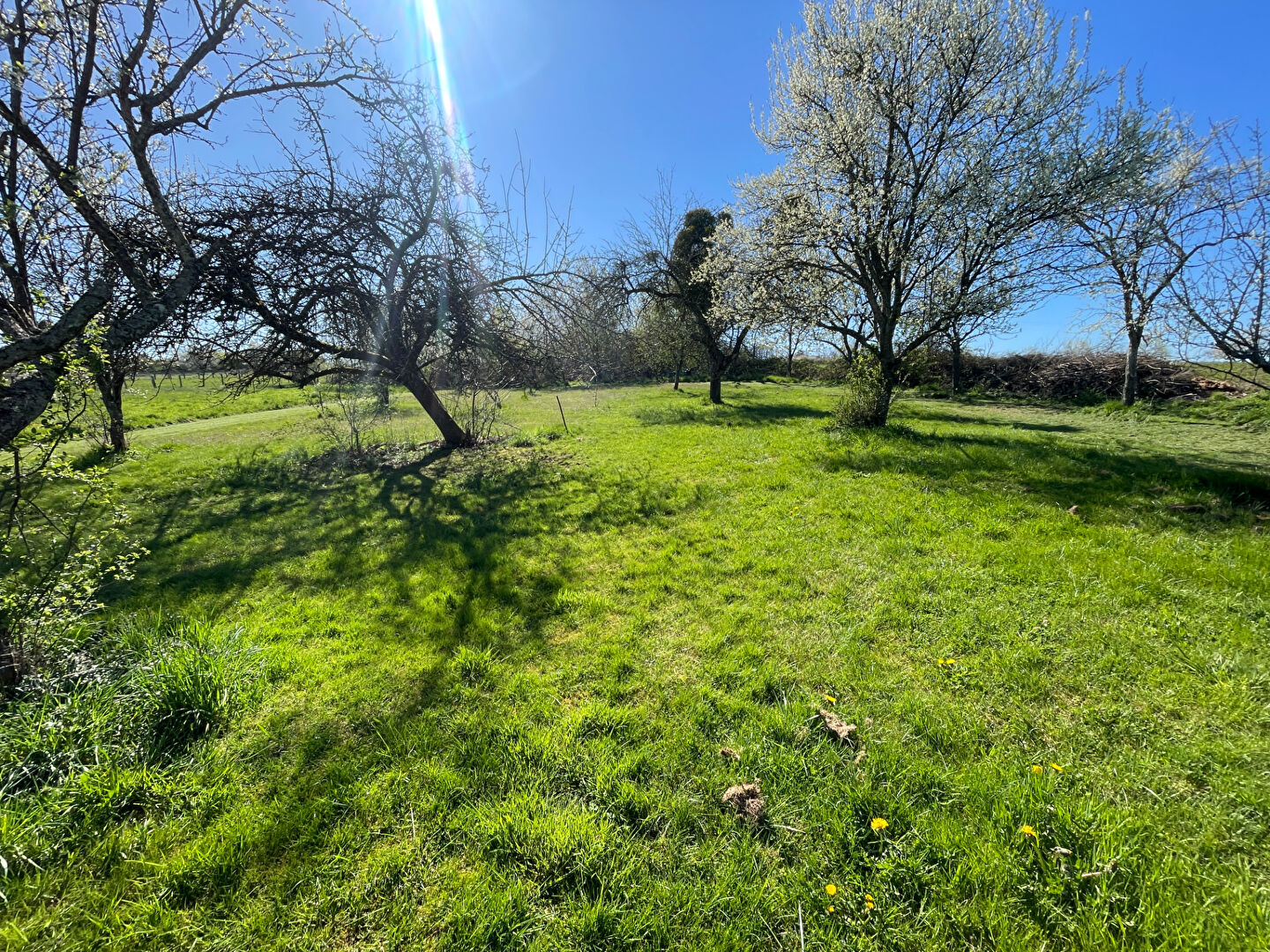 Maison Ogeviller 5 pièce(s)