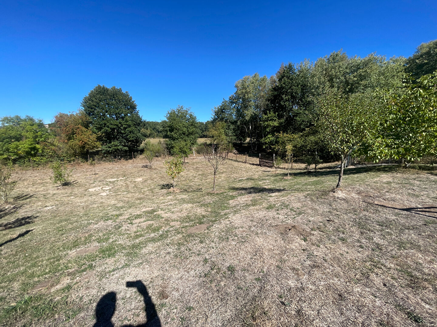 EXCLUSIVITÉ - DAMELEVIÈRES - RARE À LA VENTE
