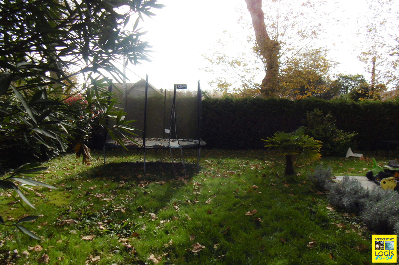 Photo MAISON 4P - PEYREHORADE - image 2/6