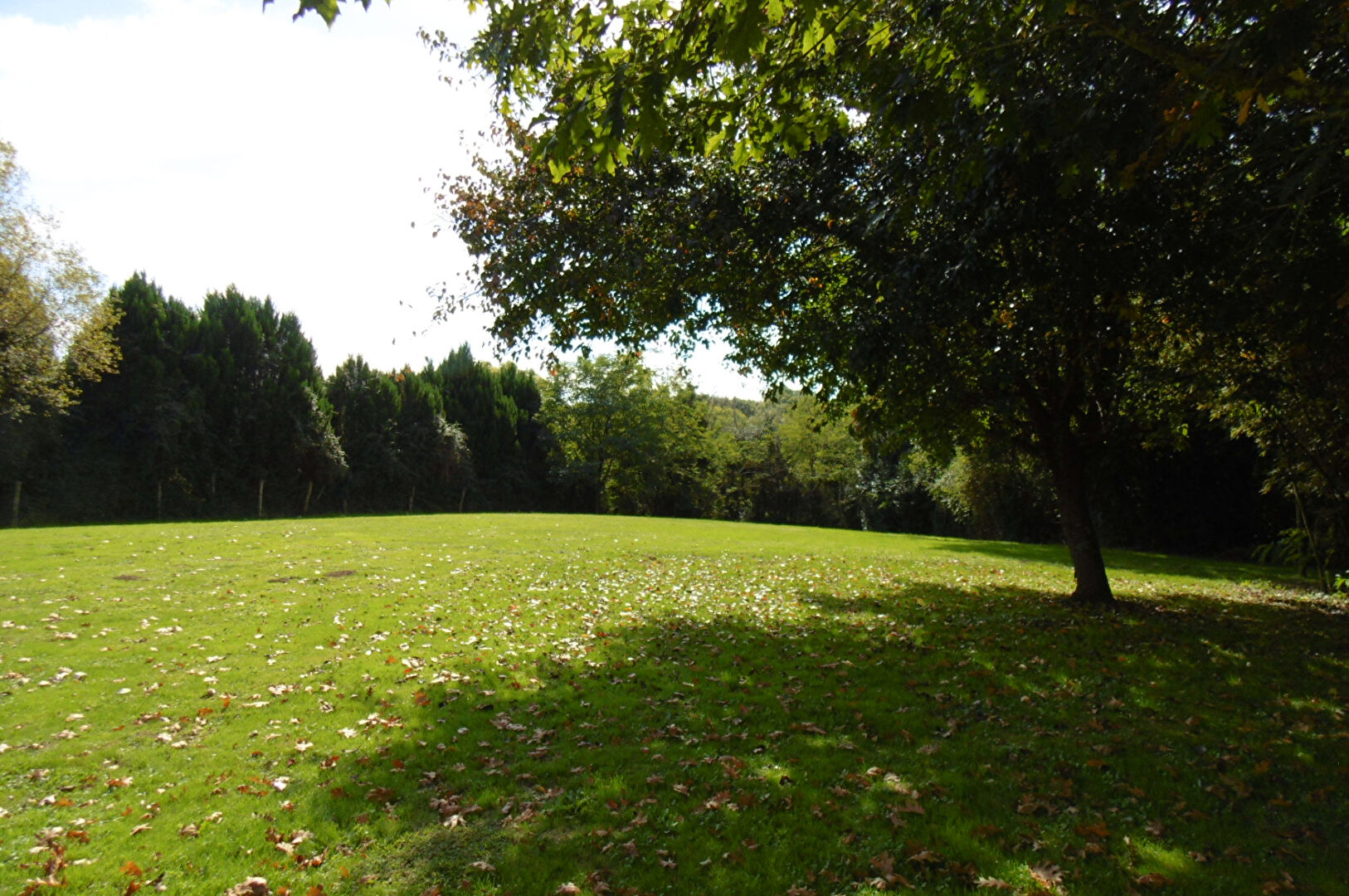 Photo MAISON 5P - ST-JEAN-DE-MARSACQ - image 4/6