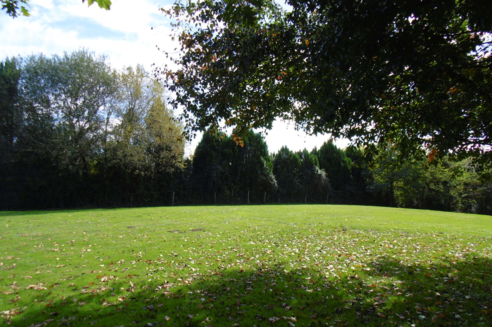 Photo MAISON 5P - ST-JEAN-DE-MARSACQ - image 5/6