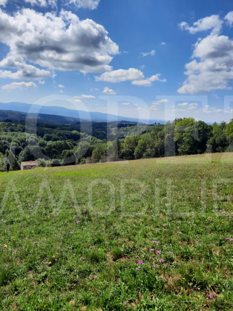 Terrain — Cambounès