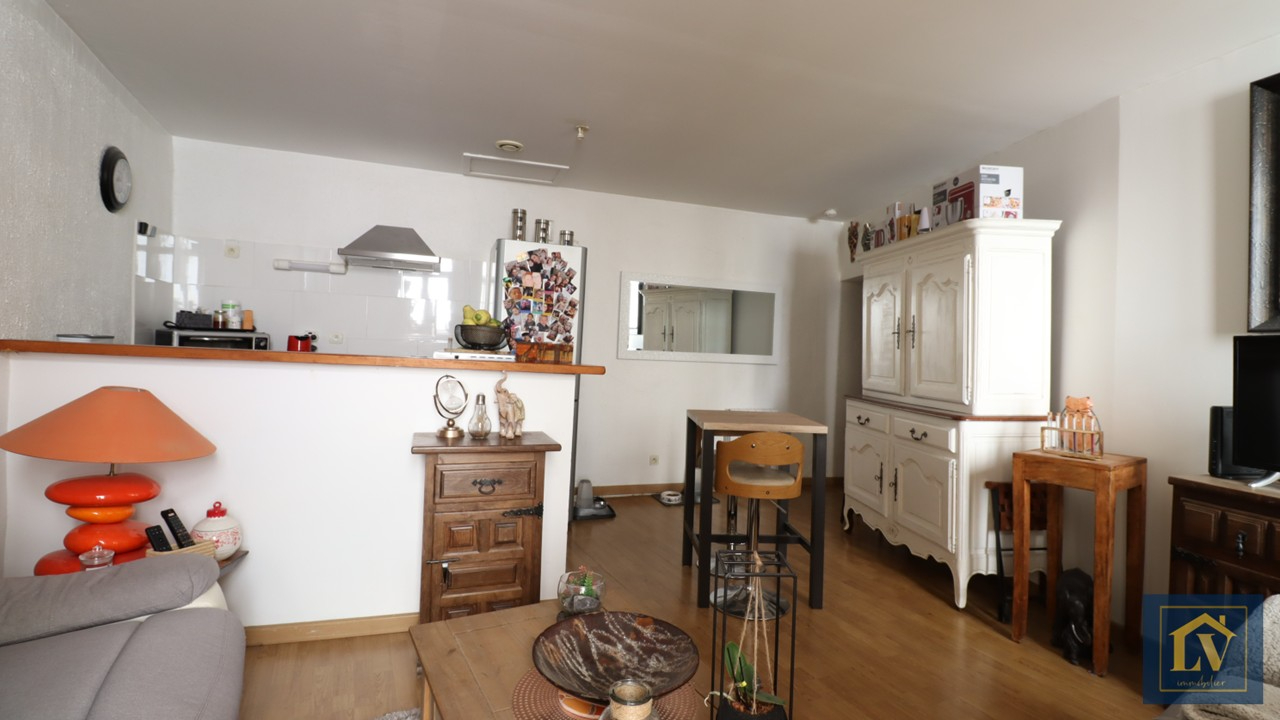 Agence immobilière de LV IMMOBILIER Le Soler - LV IMMOBILIER Le Soler