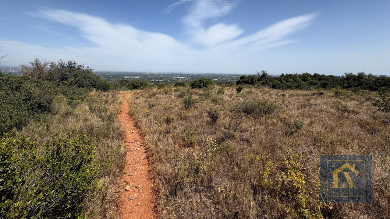 A vendre terrain agricole de 7690 m2