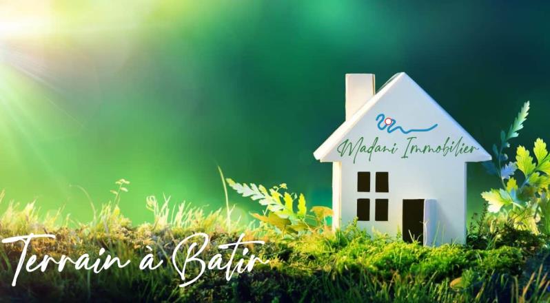 Photo MOISSON - LOT AVANT image 2/5