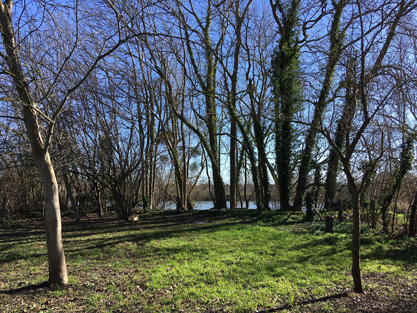 Agence immobilière de Madani Immobilier Bonnieres sur seine - Madani Immobilier