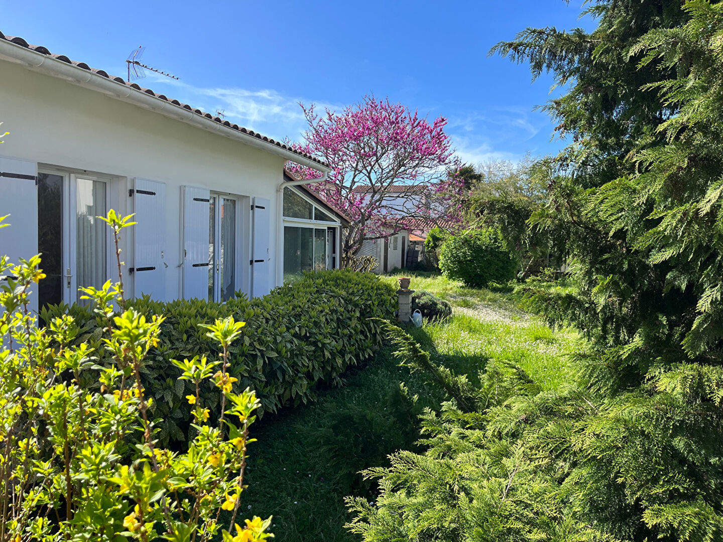 Agence immobilière de Malve Immobilier Royan - Malvé Immobilier