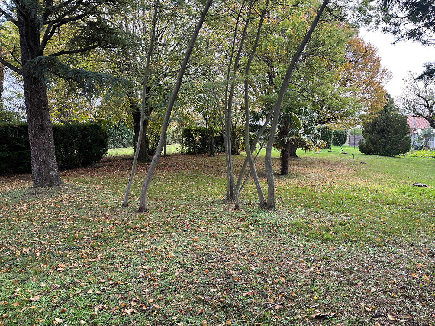 Terrain proche centre ville