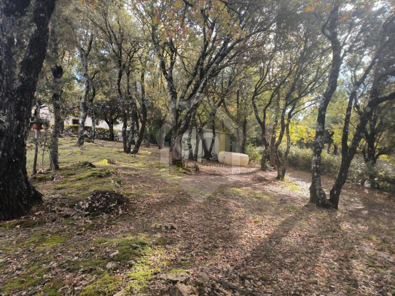 Photo Maison Tourtour 5 pièce(s) 118 m2 image 4/6