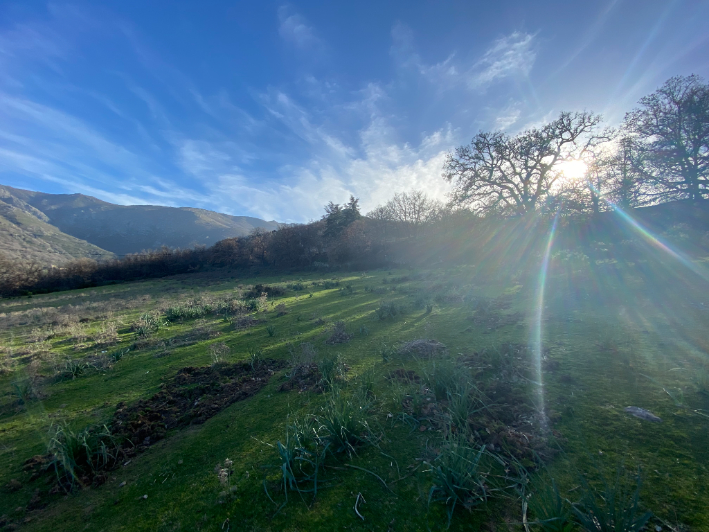 Photo TERRAIN CONSTRUCTIBLE image 2/6