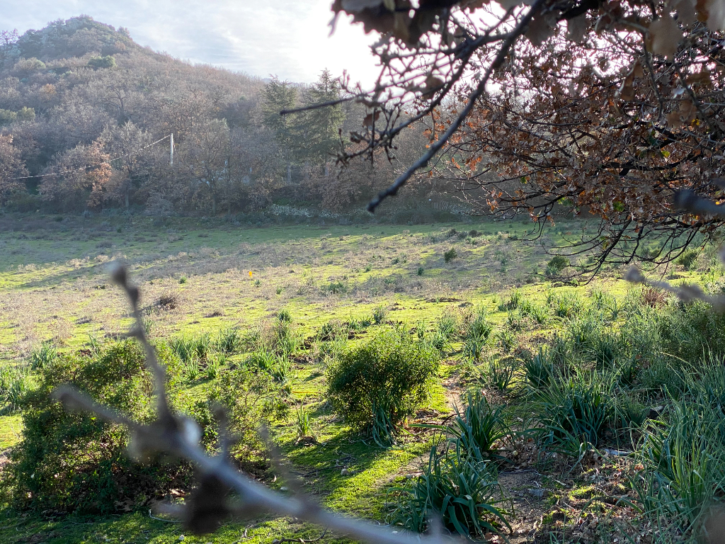 Photo TERRAIN CONSTRUCTIBLE image 5/6