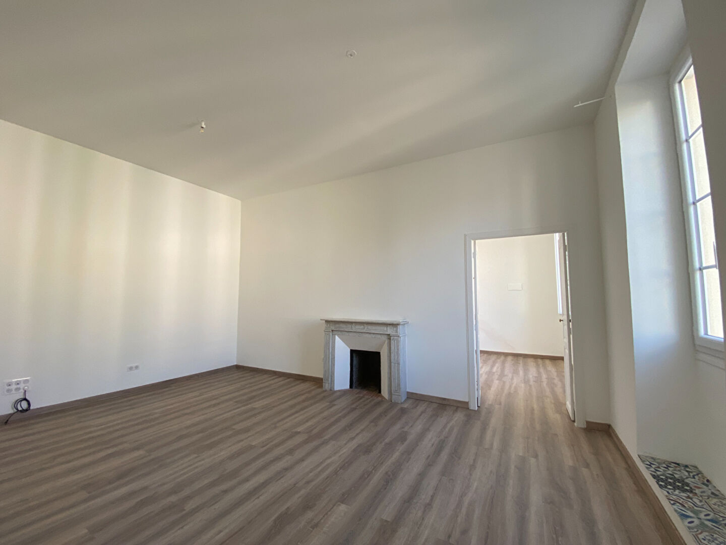Photo LOCAL PROFESSIONNEL image 3/6