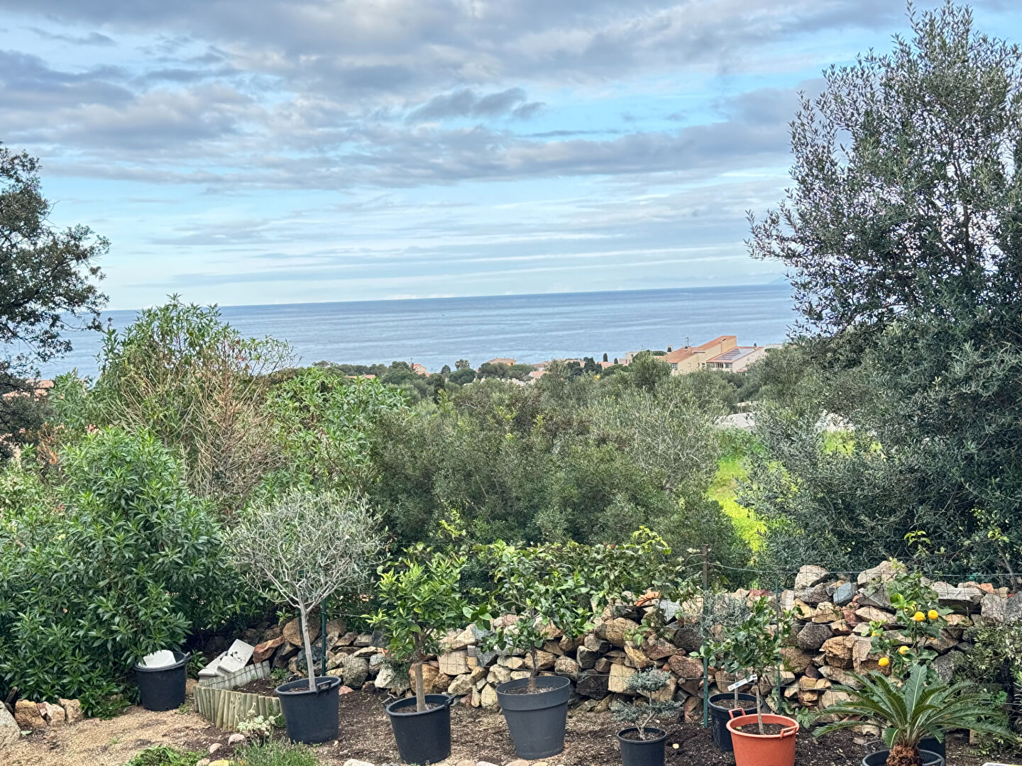 Photo APPARTEMENT 3 pièces image 5/6