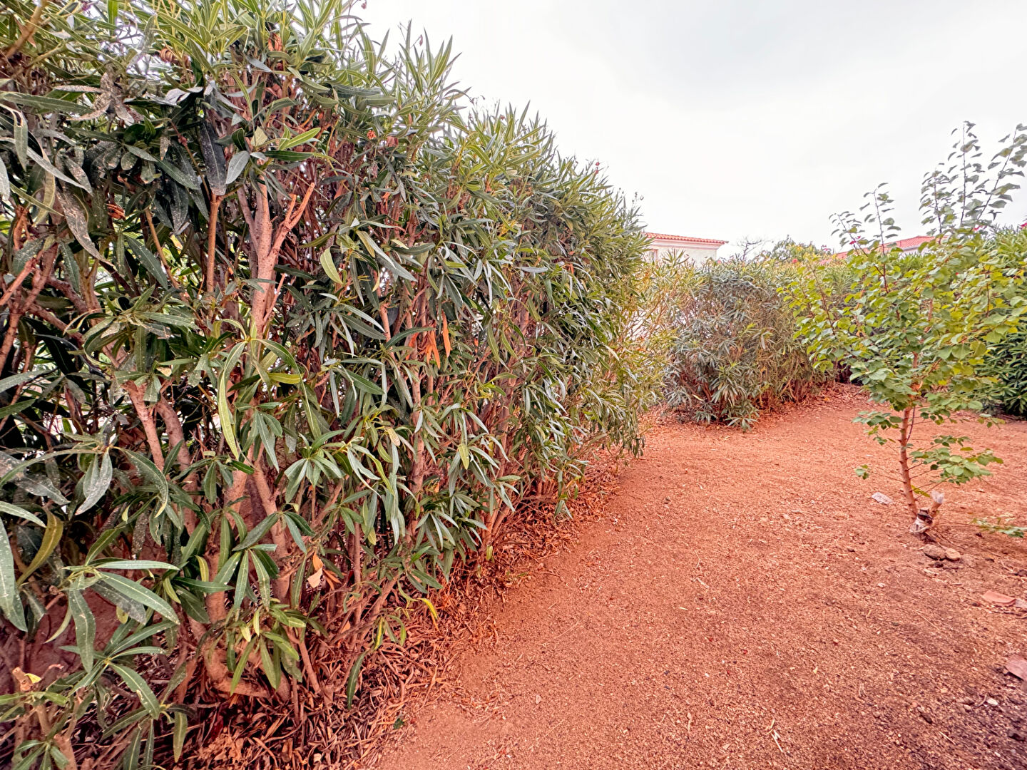 Photo APPARTEMENT 3 Pièces image 6/6