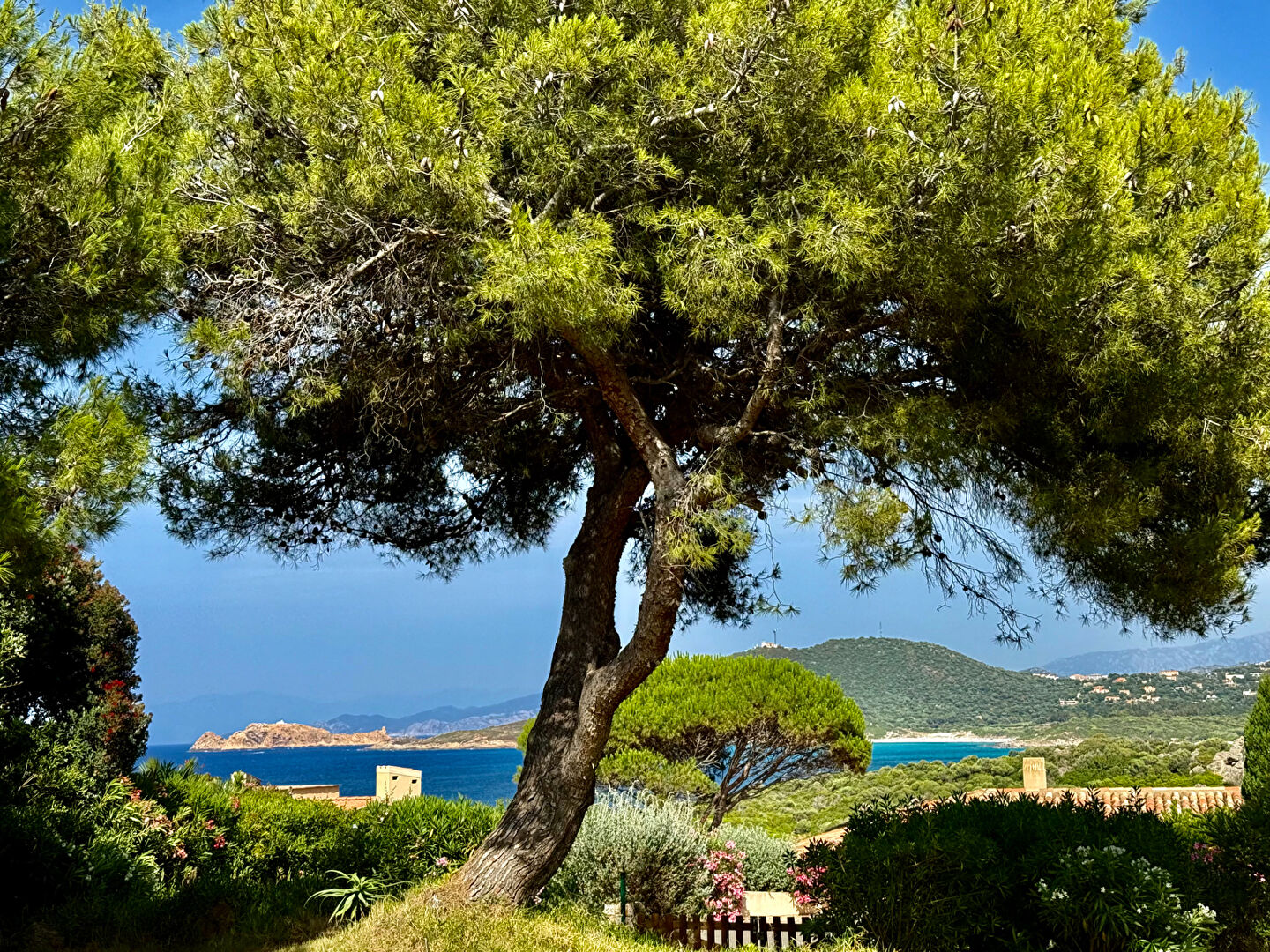 Photo VILLA image 3/6