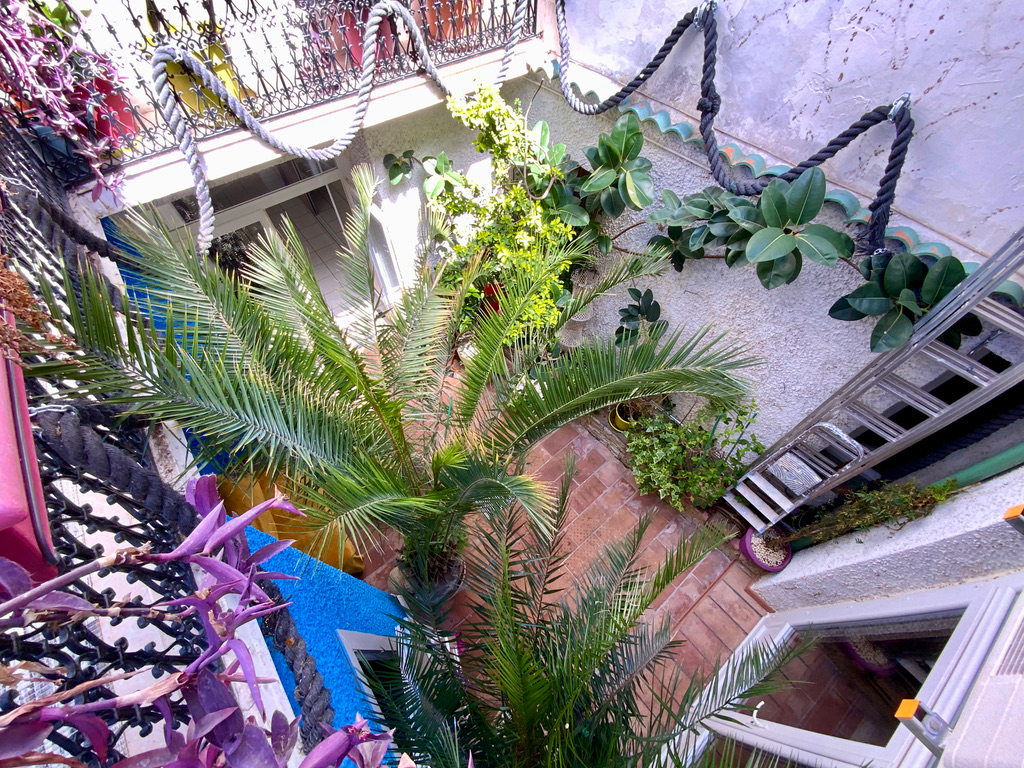 Photo Maison de village Marseillan 7 pièce(s) 153 m2 image 3/6