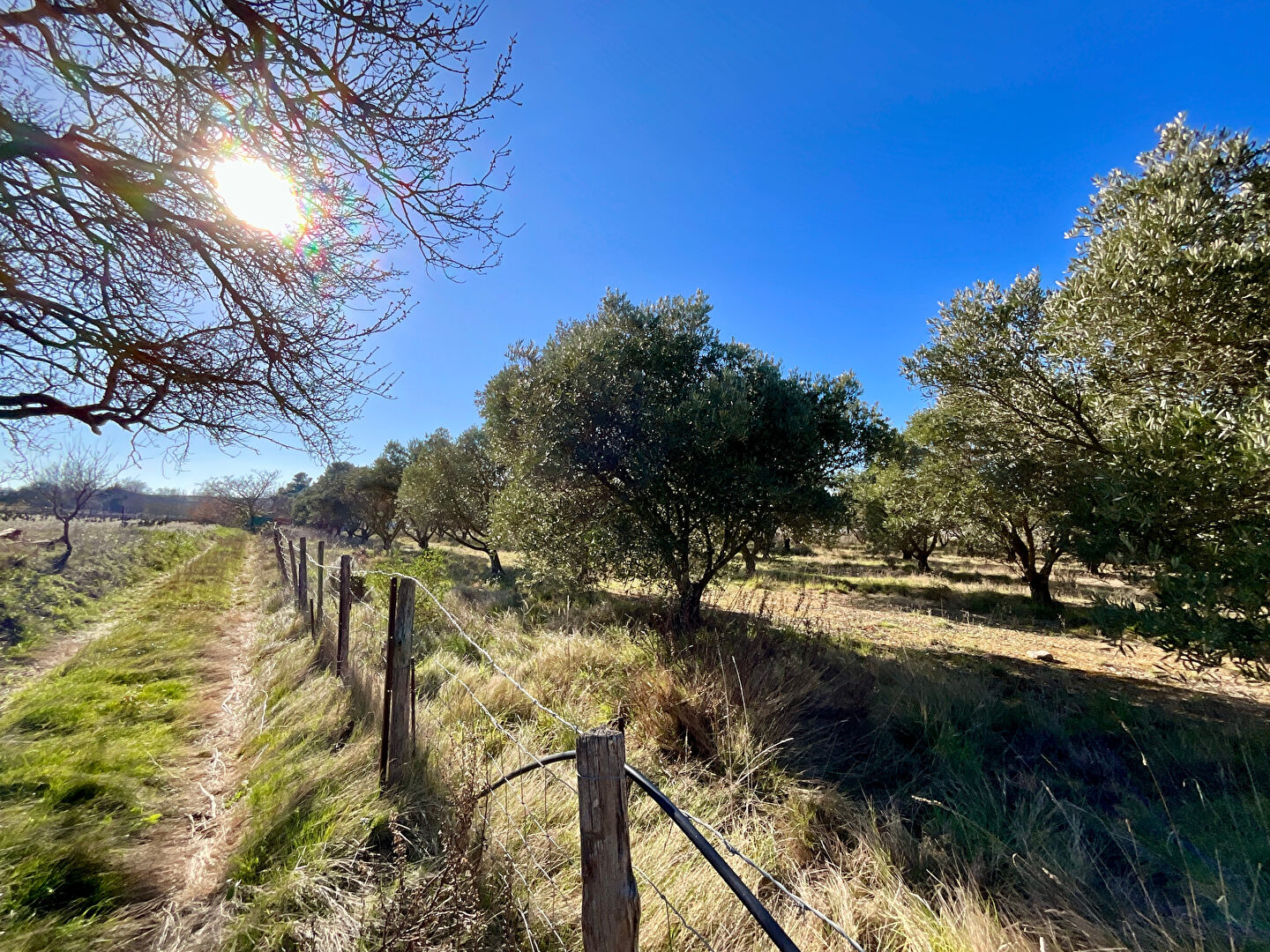 Photo Terrain de loisirs Marseillan avec puits et forage image 2/6