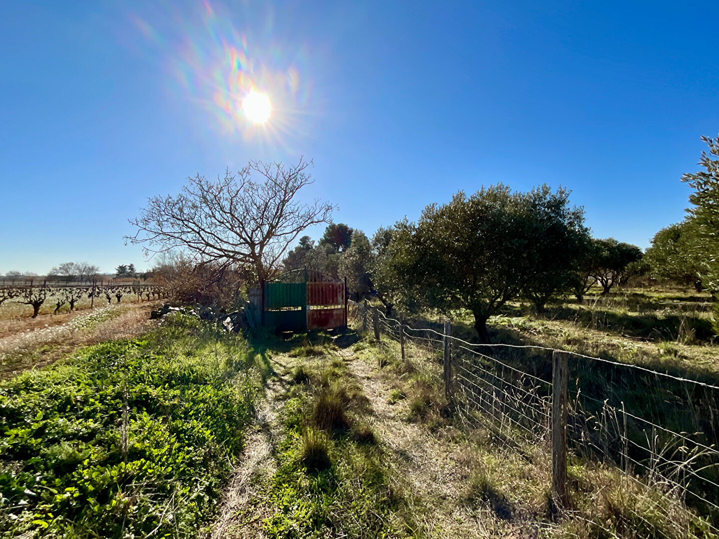 Photo Terrain de loisirs Marseillan avec puits et forage image 3/6
