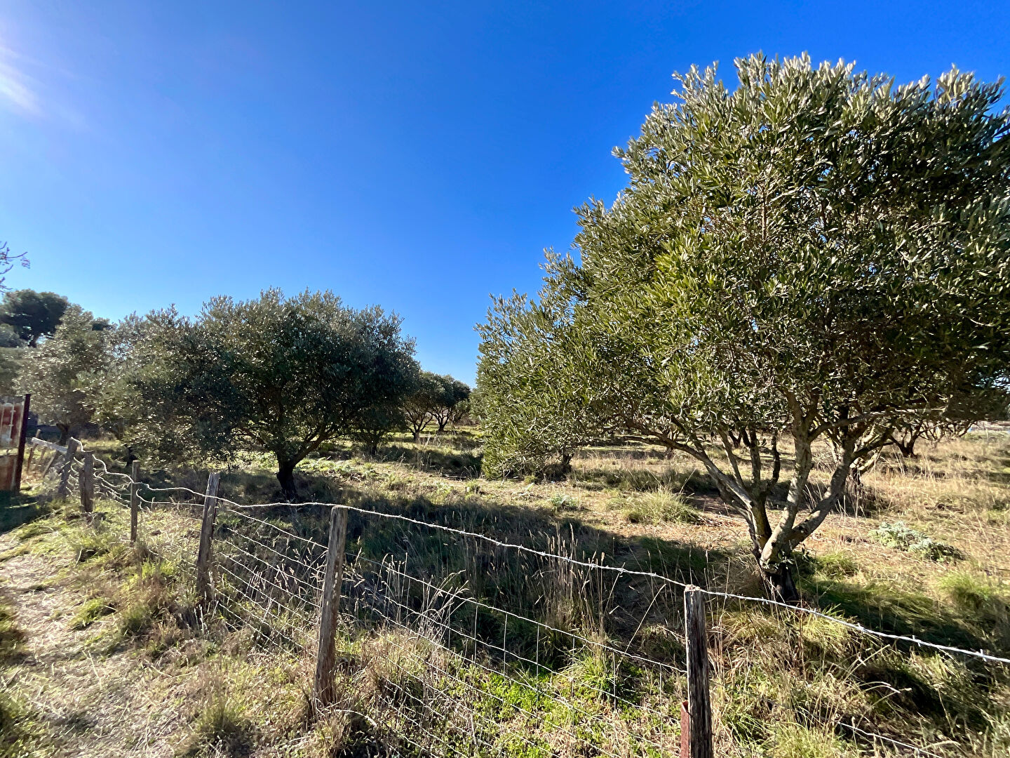 Photo Terrain de loisirs Marseillan avec puits et forage image 4/6