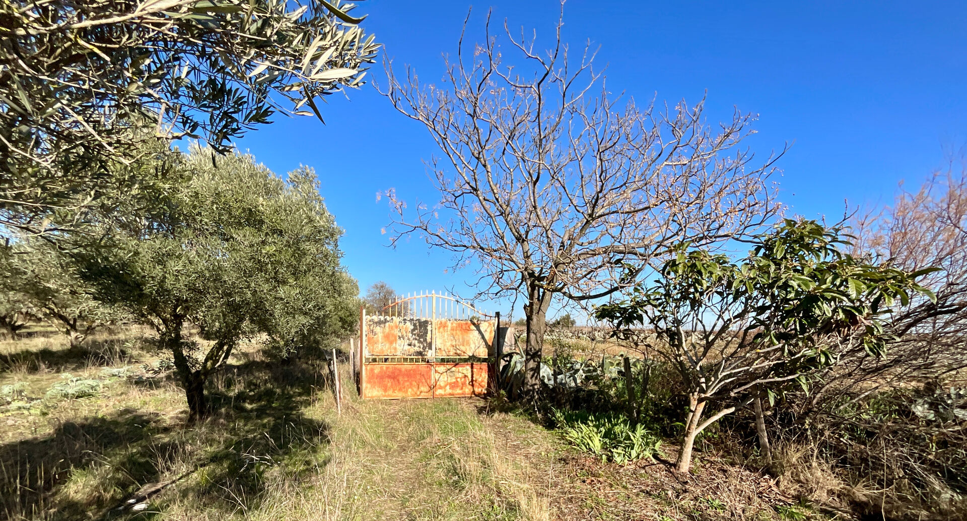 Photo Terrain de loisirs Marseillan avec puits et forage image 5/6