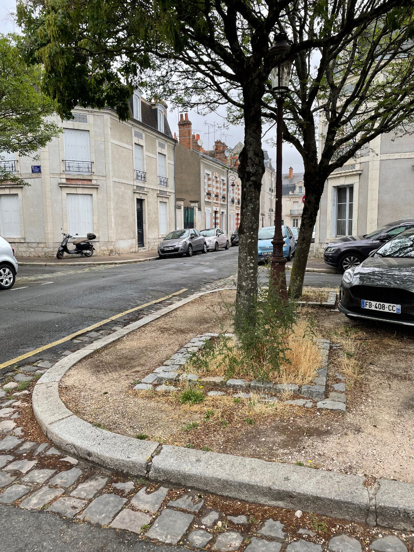 Photo Appartement Orleans 2 pièce(s) 32.94 m2 image 3/6