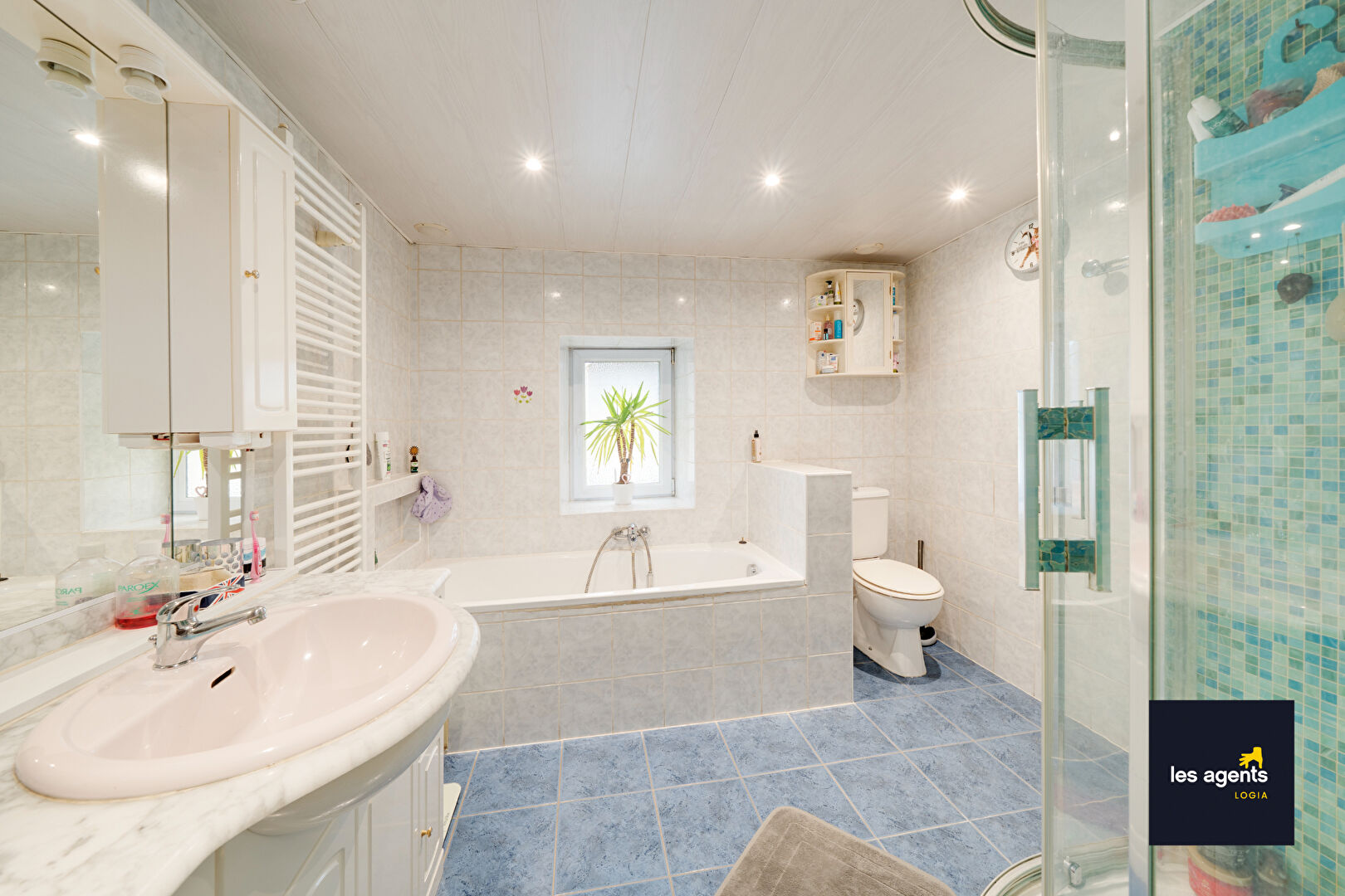 Maison Velle Sur Moselle 6 pièce(s) 260 m2 + jardin