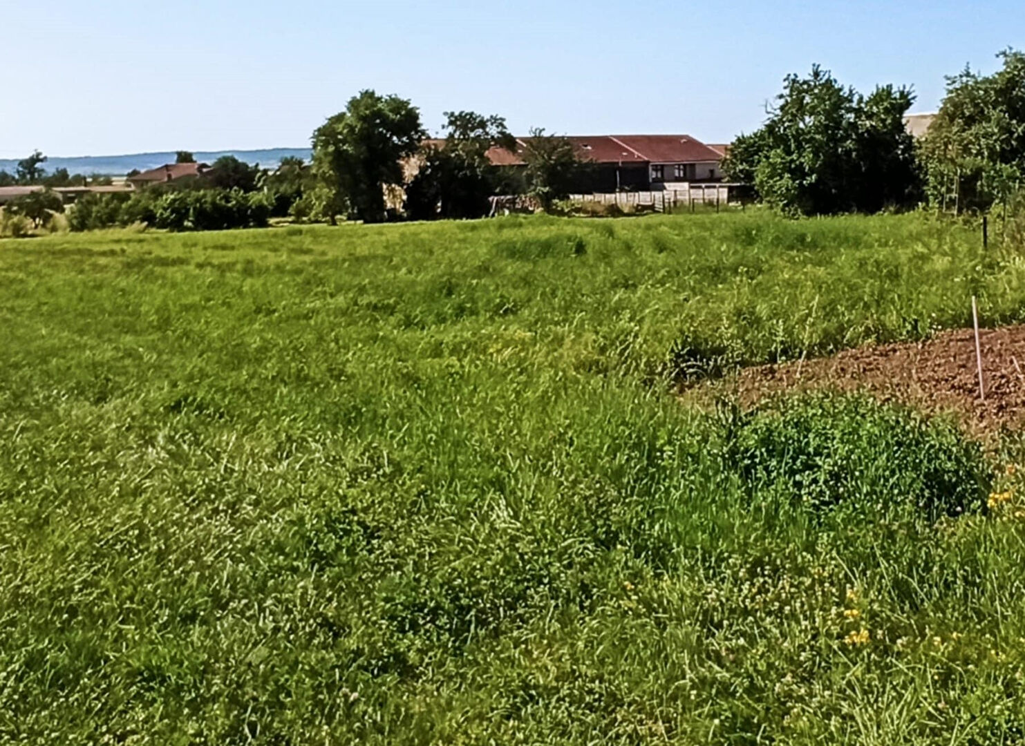 Maison  3 pièce(s) 100 m2