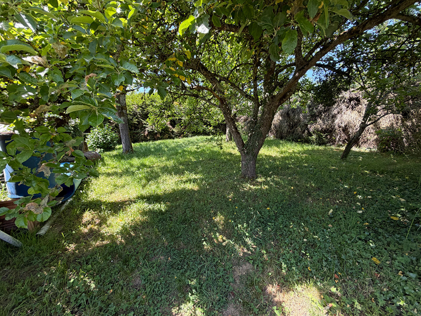 Maison Lay Saint Christophe 4 pièce(s) 170 m2
