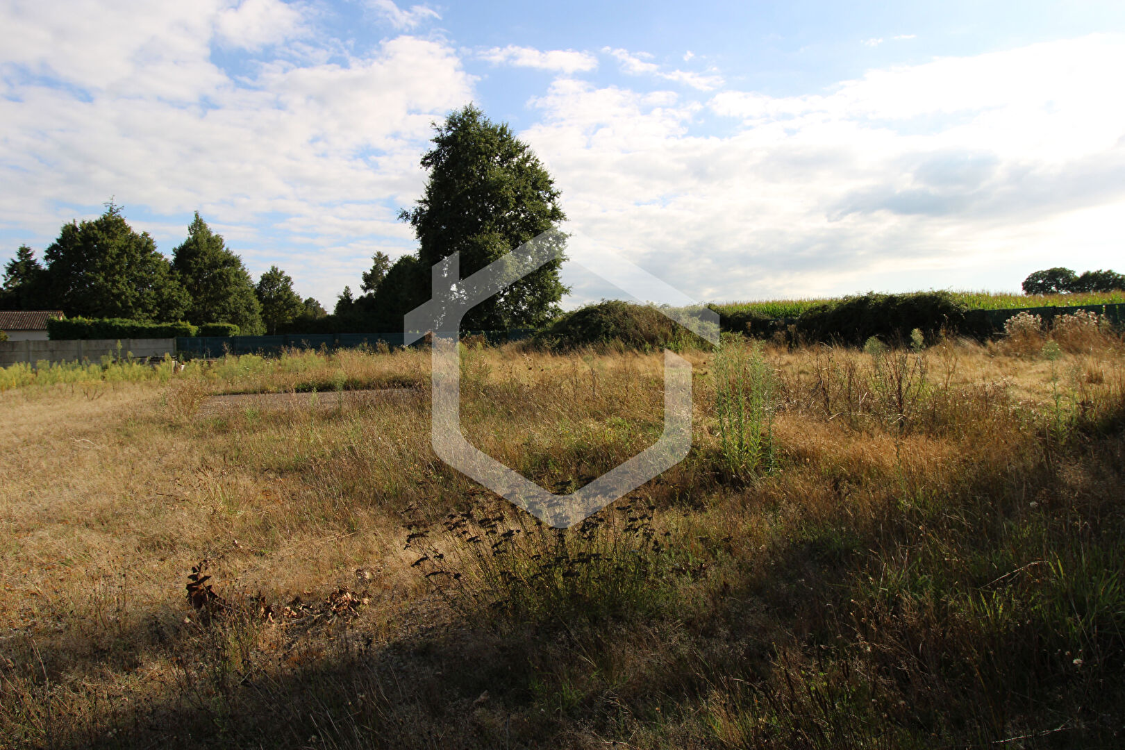 Photo Terrain constructible de 1311 m², viabilisé ! image 4/5